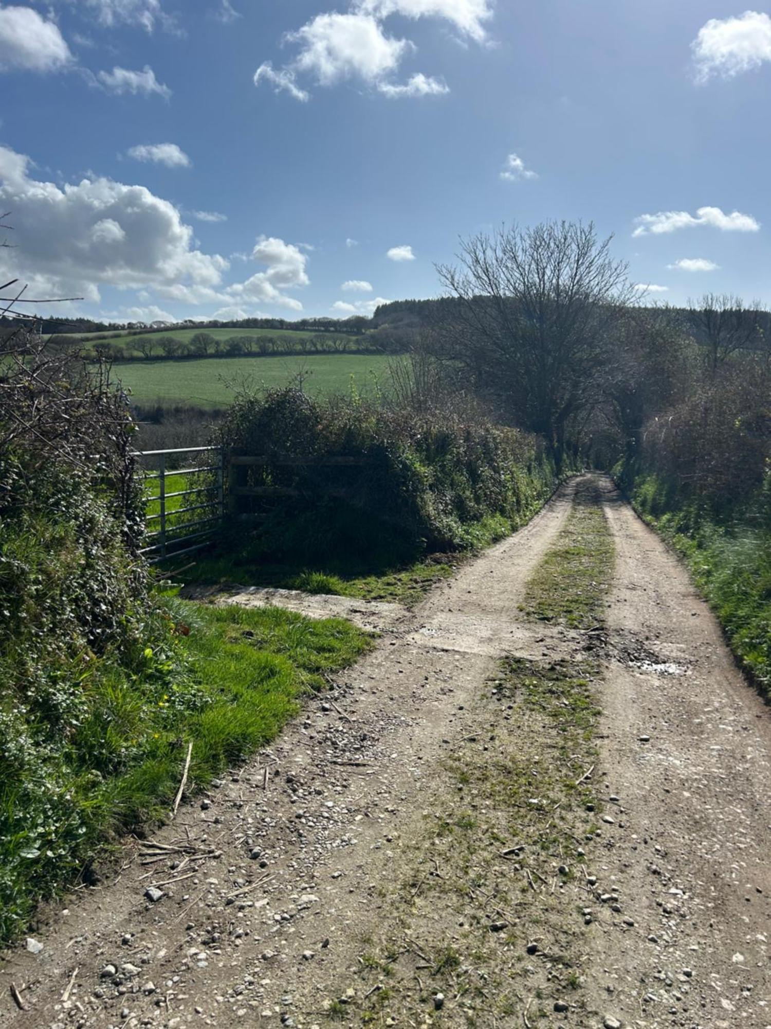 Meadowside Cottage, Characterful Grade 2 Listed Cottage Near To Wadebridge And Padstow Dış mekan fotoğraf